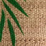 Are Jute Bags Really Biodegradable?